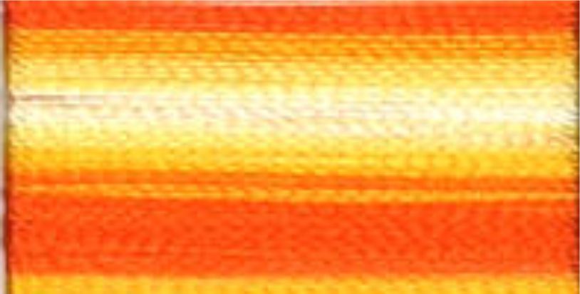 Fufu 1000m Variegated Embroidery Thread - 55